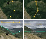 Integrating the multi-domainal and multi-dimensional nature of animal movement into ecological modelling